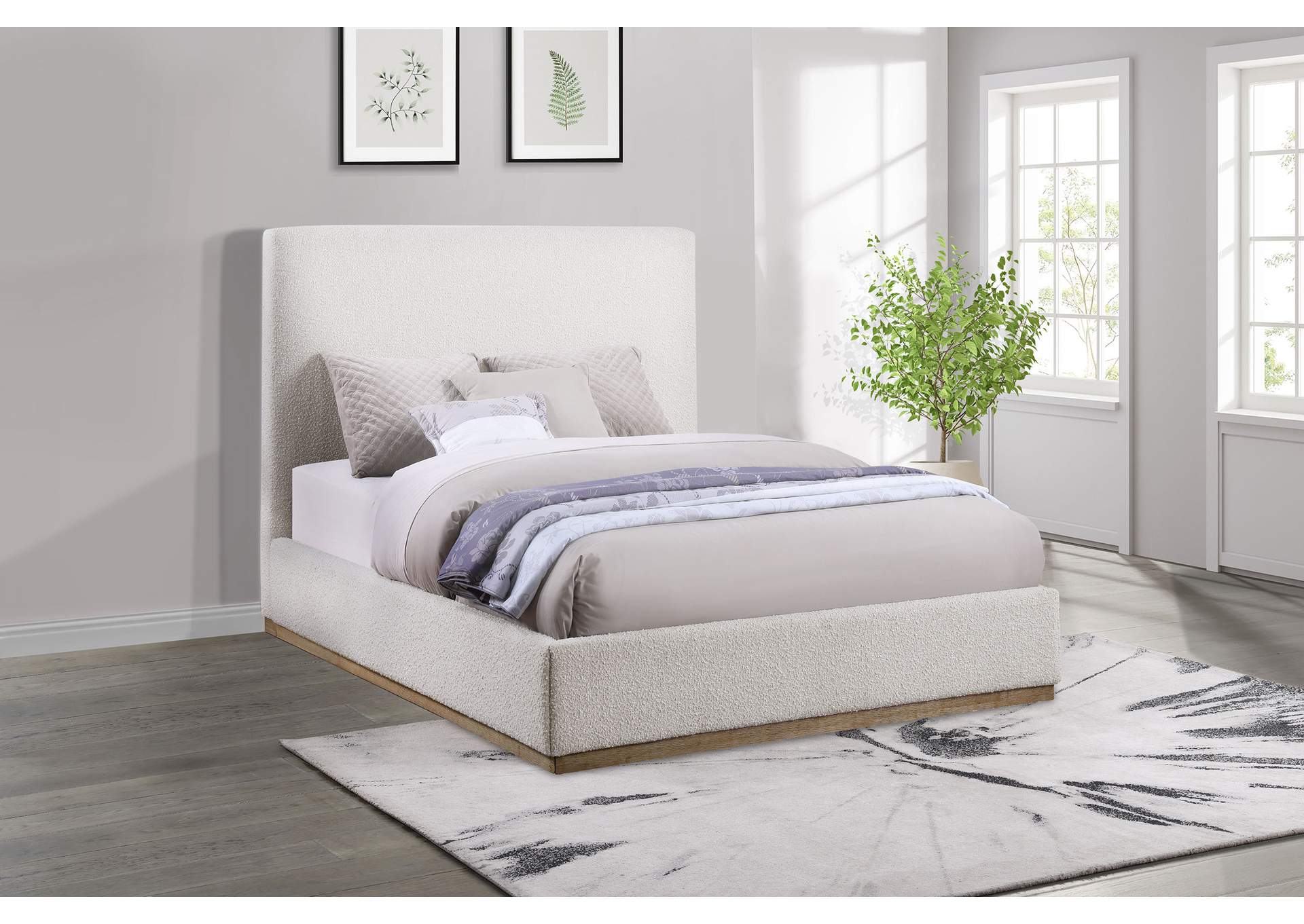 QUEEN BED,Coaster Furniture