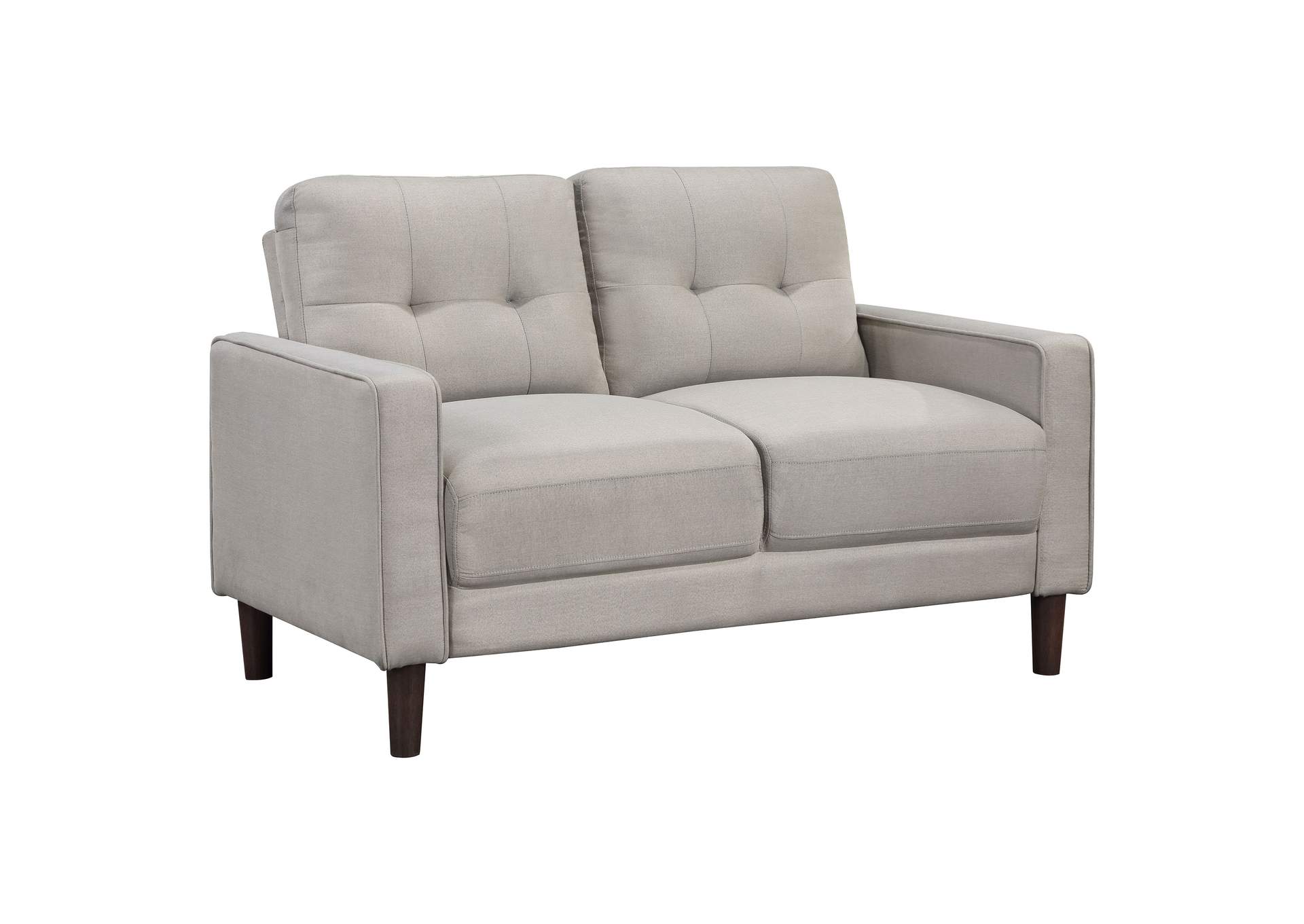 SOFA 2 PC SET,Coaster Furniture