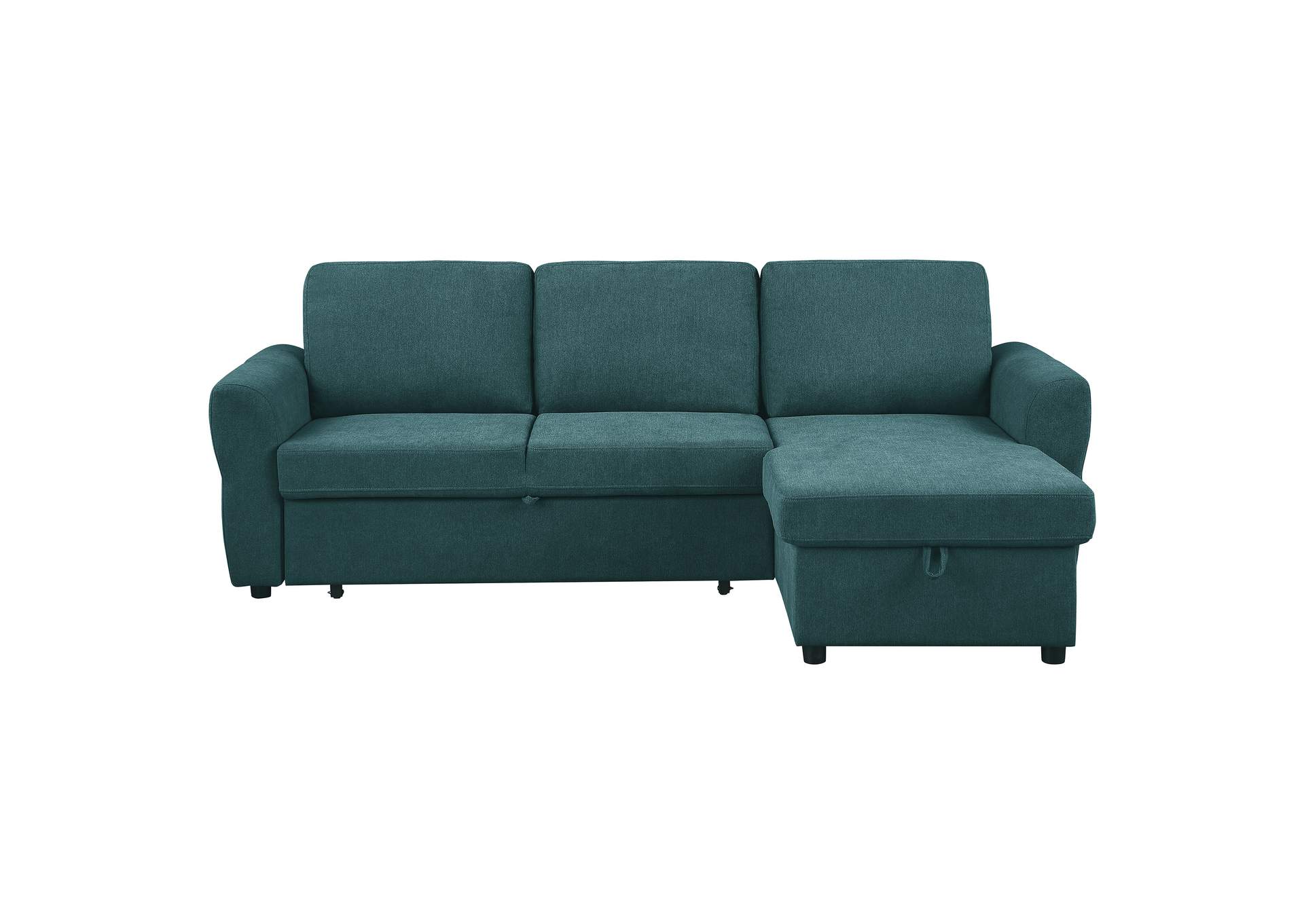 SLEEPER SECTIONAL,Coaster Furniture