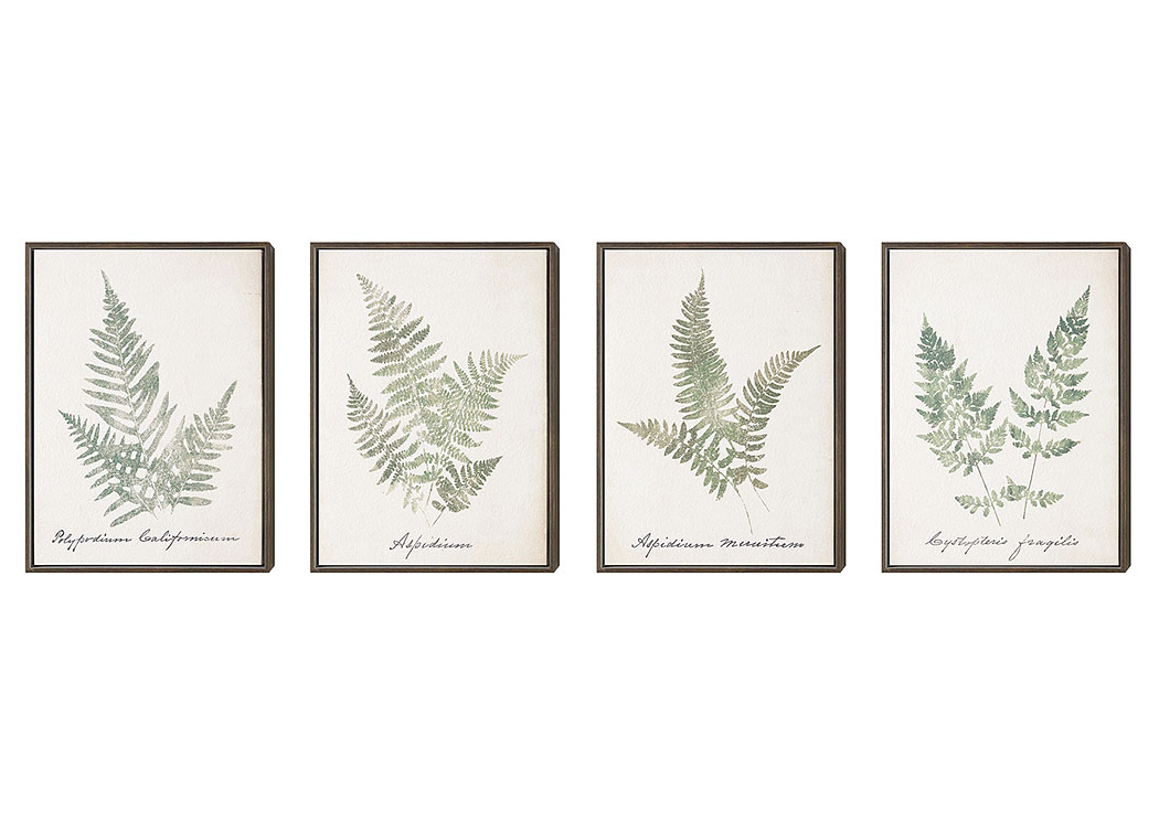 Leafy Prints Wall Art,ABF Coaster Furniture