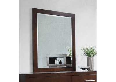 Jessica Rectangular Wall Mirror Cappuccino,Coaster Furniture