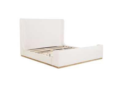 Thumb Image1