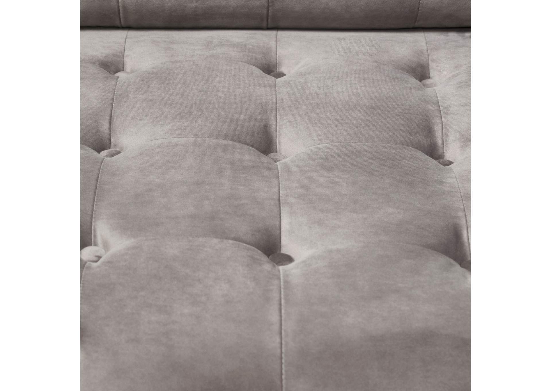 Juniper Tufted Chair in Champagne Grey Velvet by Diamond Sofa,Diamond Sofa