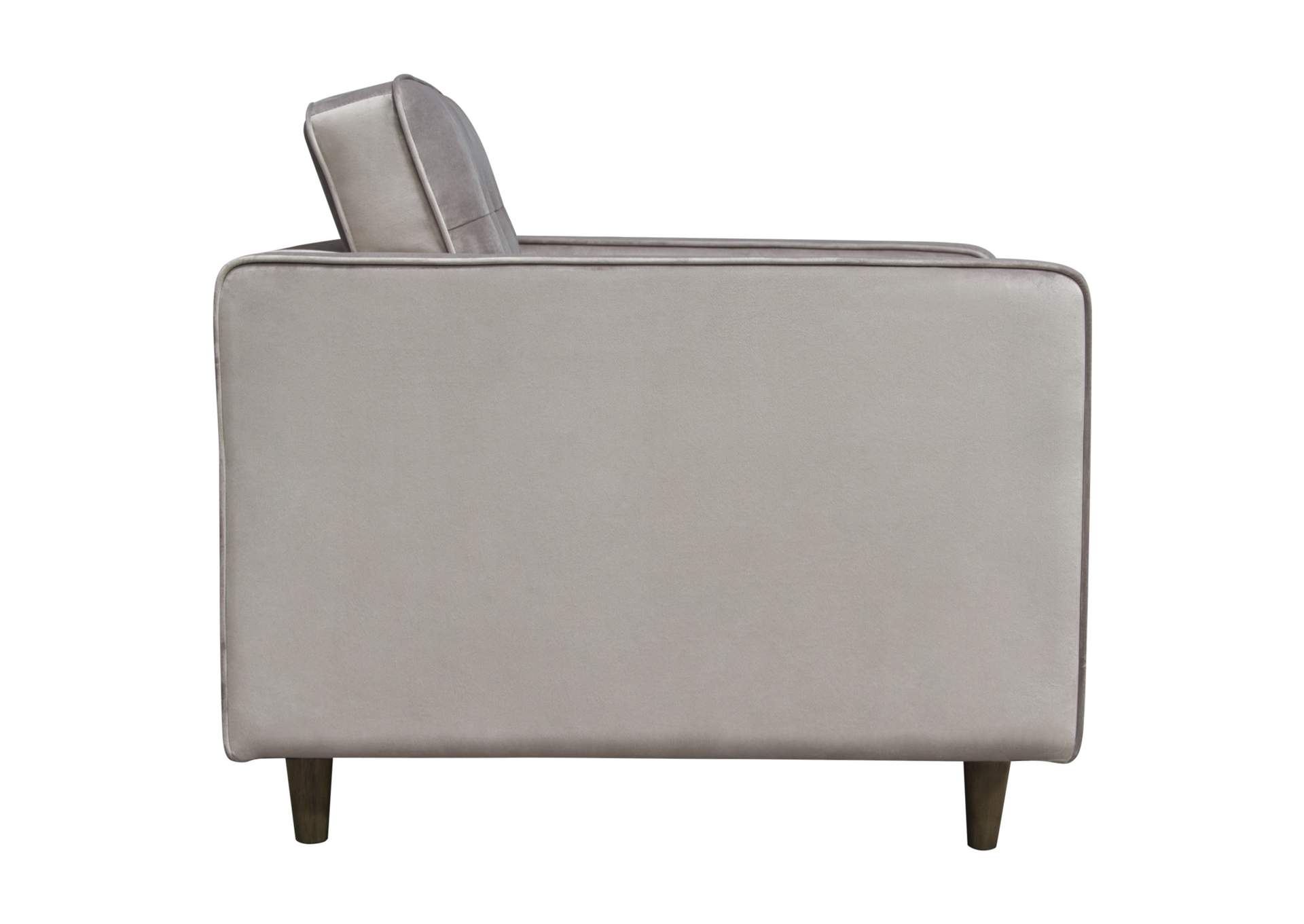 Juniper Tufted Chair in Champagne Grey Velvet by Diamond Sofa,Diamond Sofa