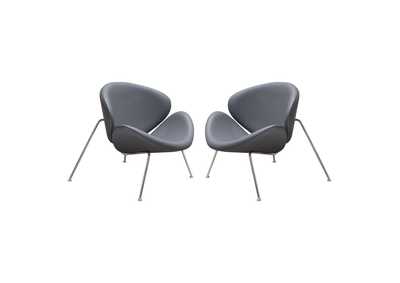 Image for Set of (2) Roxy Accent Chair with Chrome Frame by Diamond Sofa - GREY