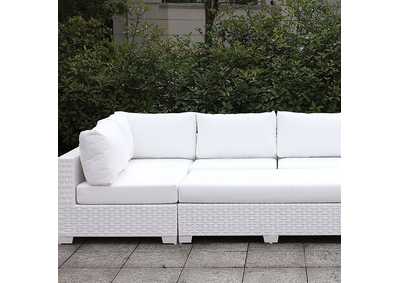 Somani Daybed