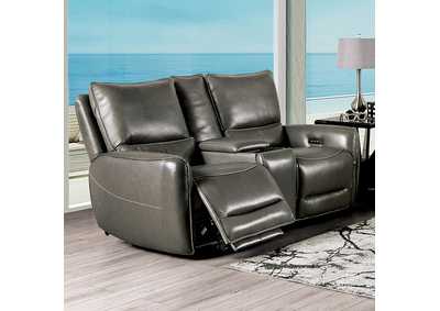 Image for Phineas Power Loveseat