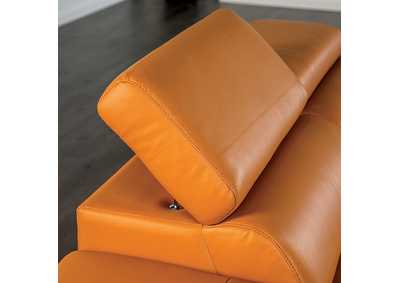 Thumb Image3
