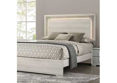 Image for Lincolt Bed