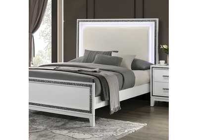 Image for Lucida Bed