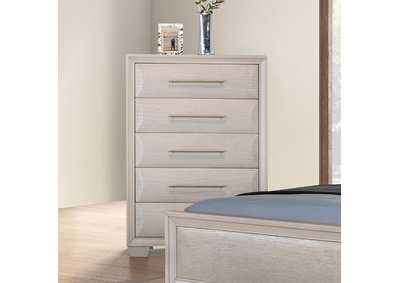 Image for Hinwitz Chest