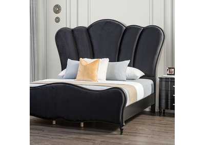 Image for Melodi Parc E.King Bed