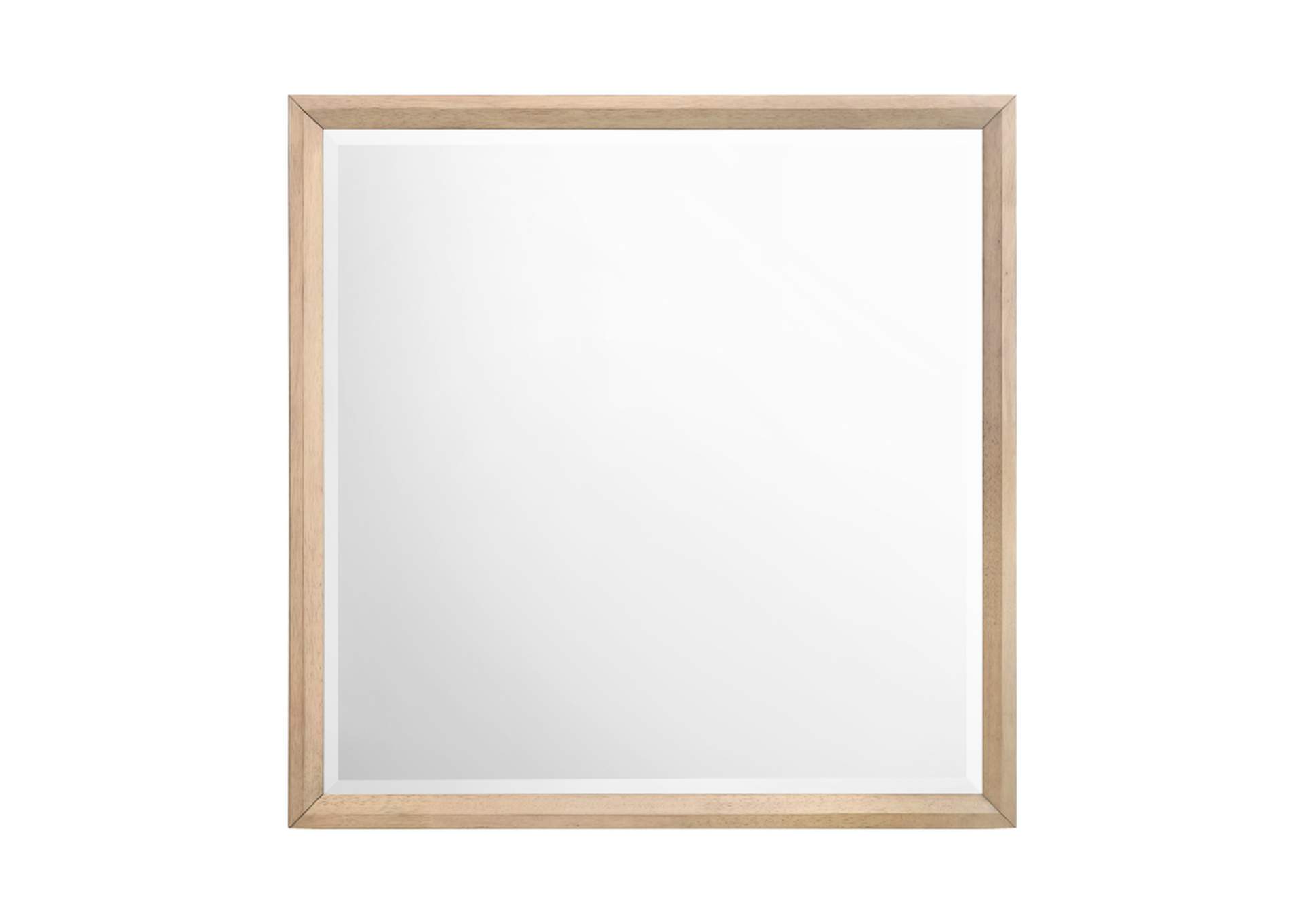 Marrin Mirror,Homelegance