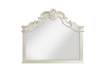 Image for Ever Mirror