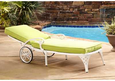 Biscayne Off-White Chaise Lounge with Cushion
