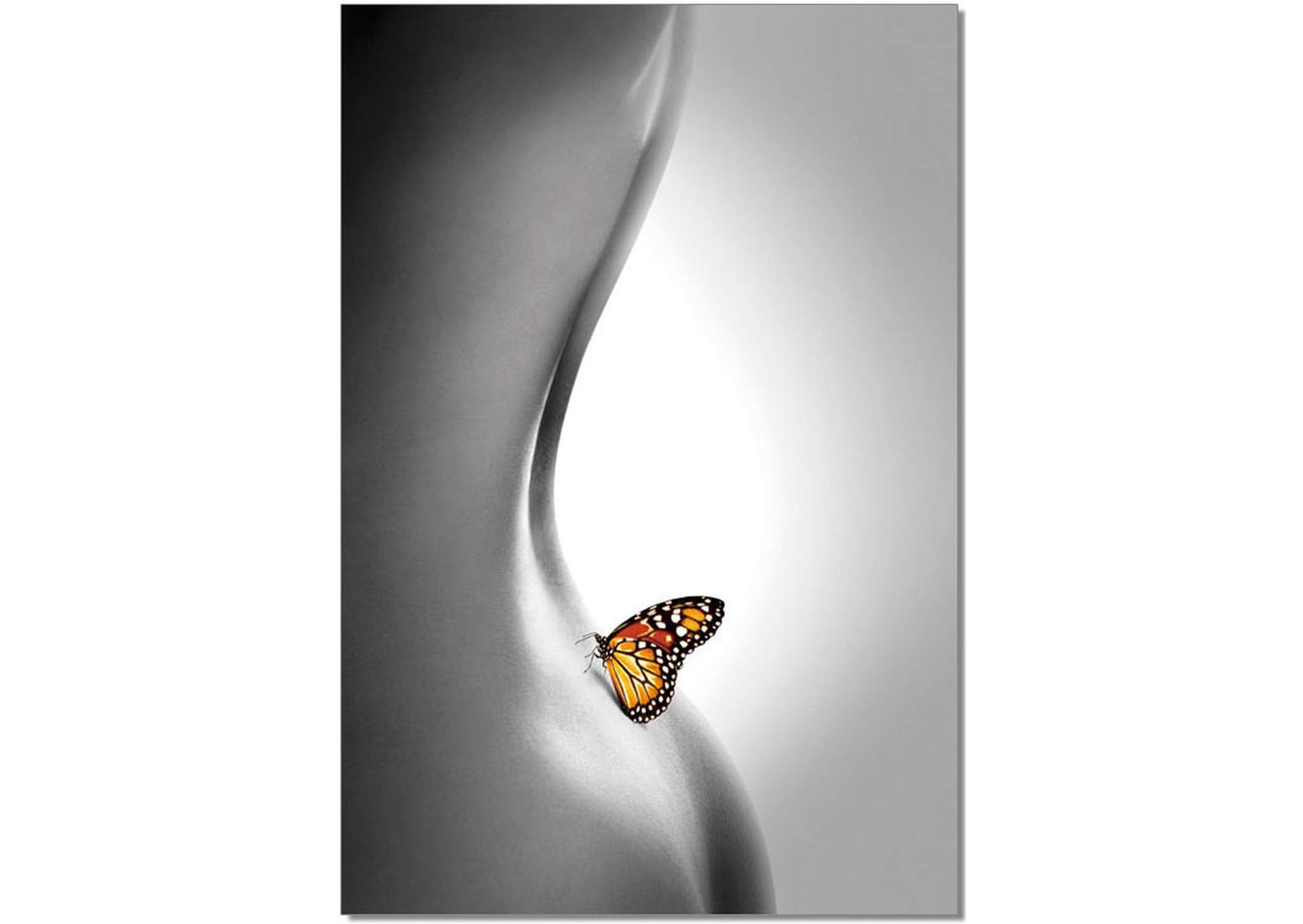 Wall Art Butterfly,J&M Furniture