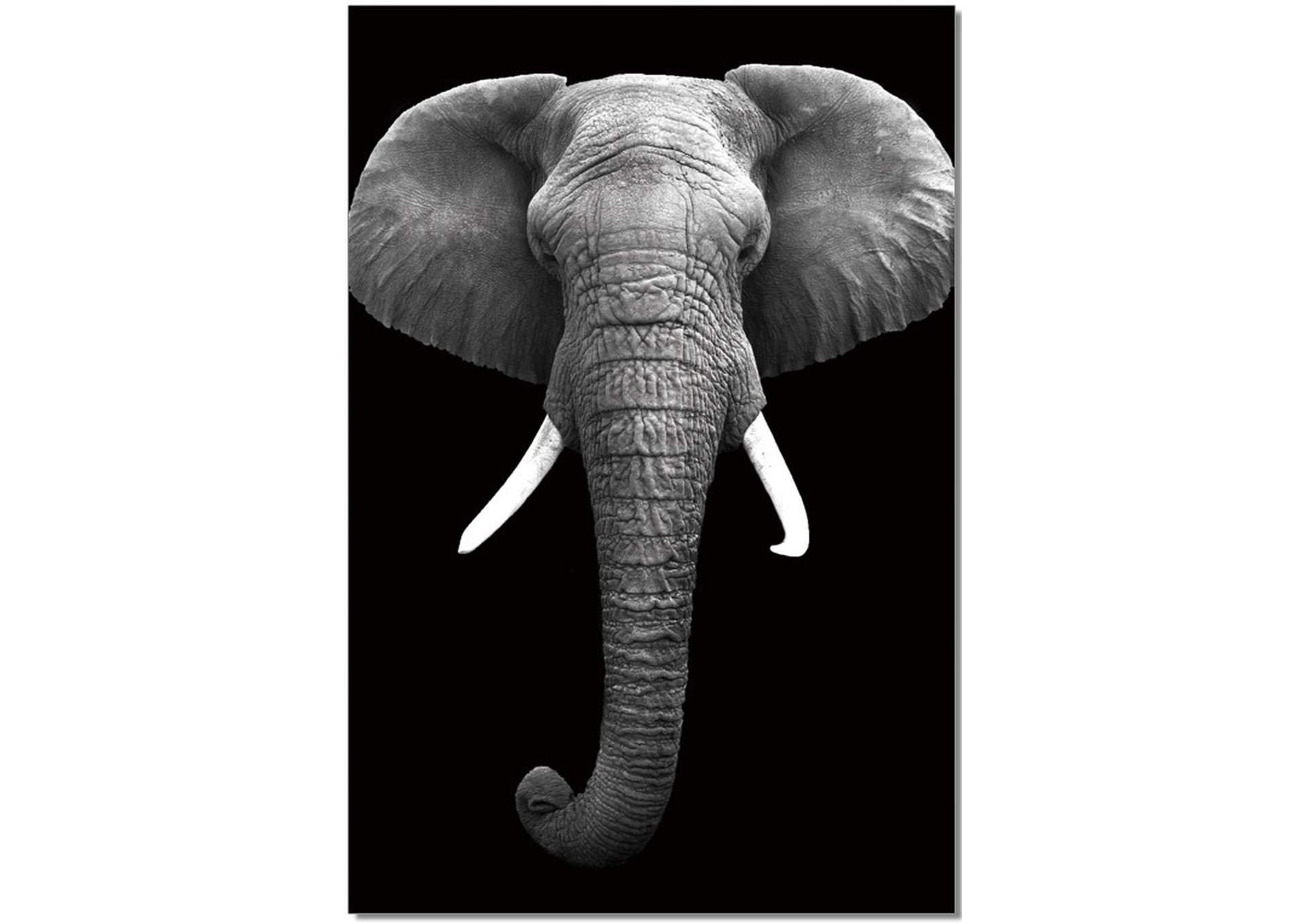 Wall Art Elephant,J&M Furniture