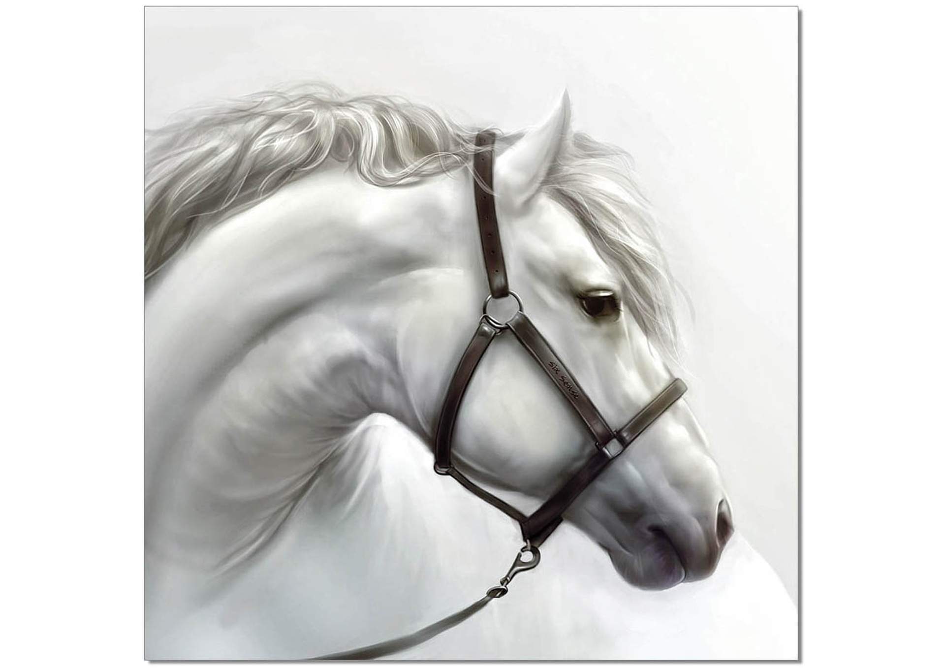 Wall Art White Horse,J&M Furniture