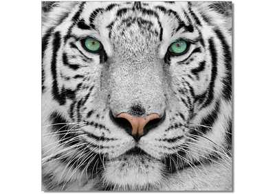 Image for Wall Art Black & White Tiger