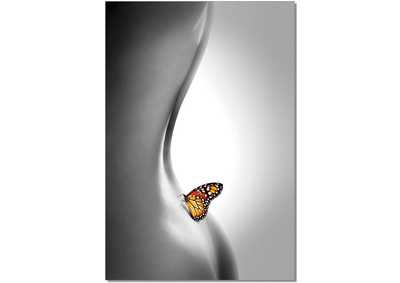 Image for Wall Art Butterfly