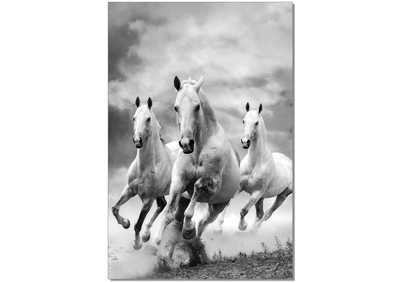 Image for Wall Art Galloping Horses