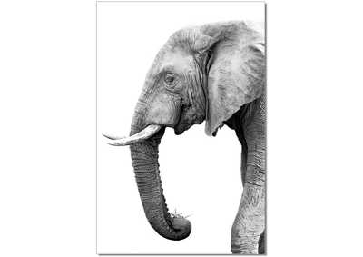 Image for Wall Art Tusk