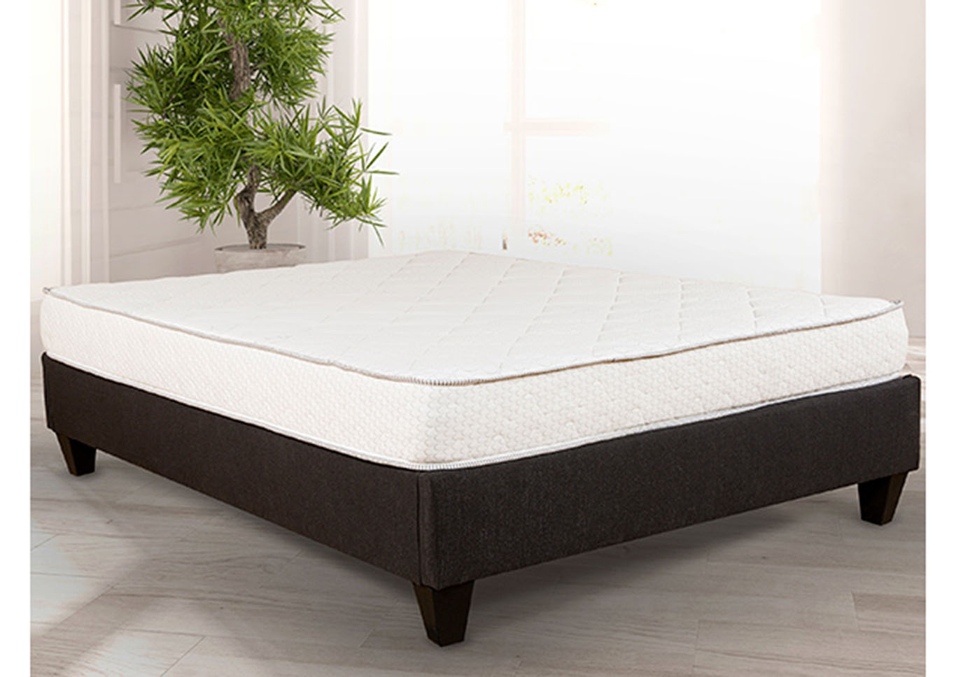 Napoli Full Mattress,Primo International