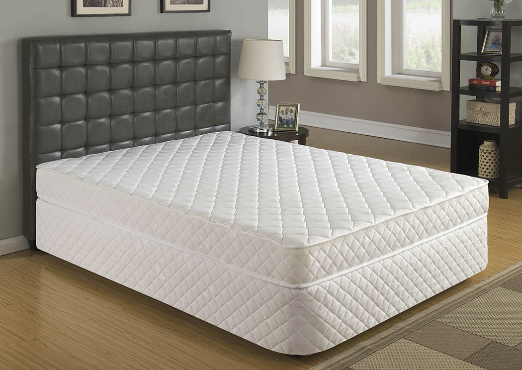 7" Odyssey Pocket Coil Queen Mattress,Primo International