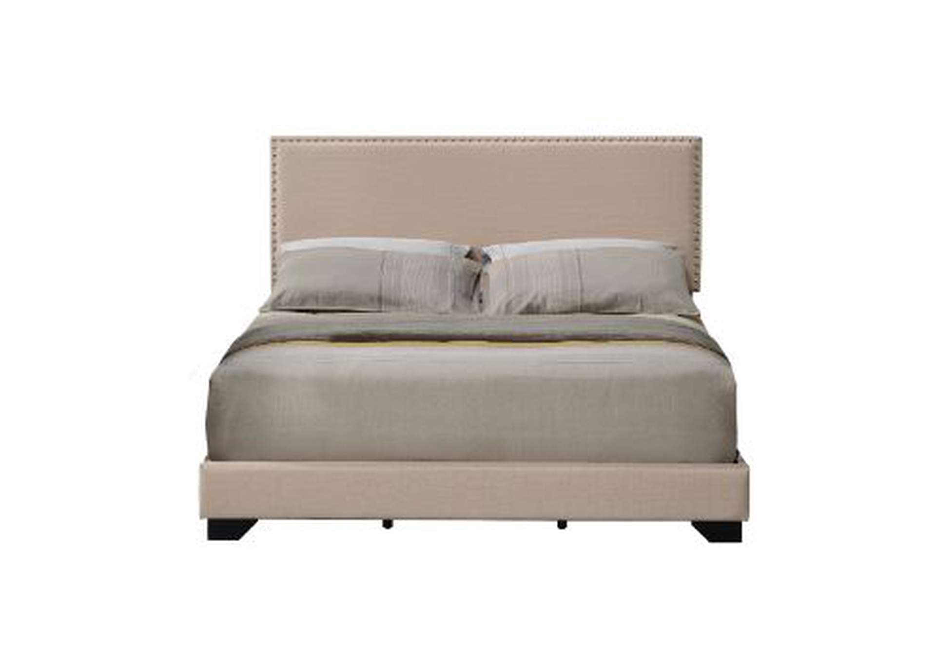 Leandros Queen Bed,Acme