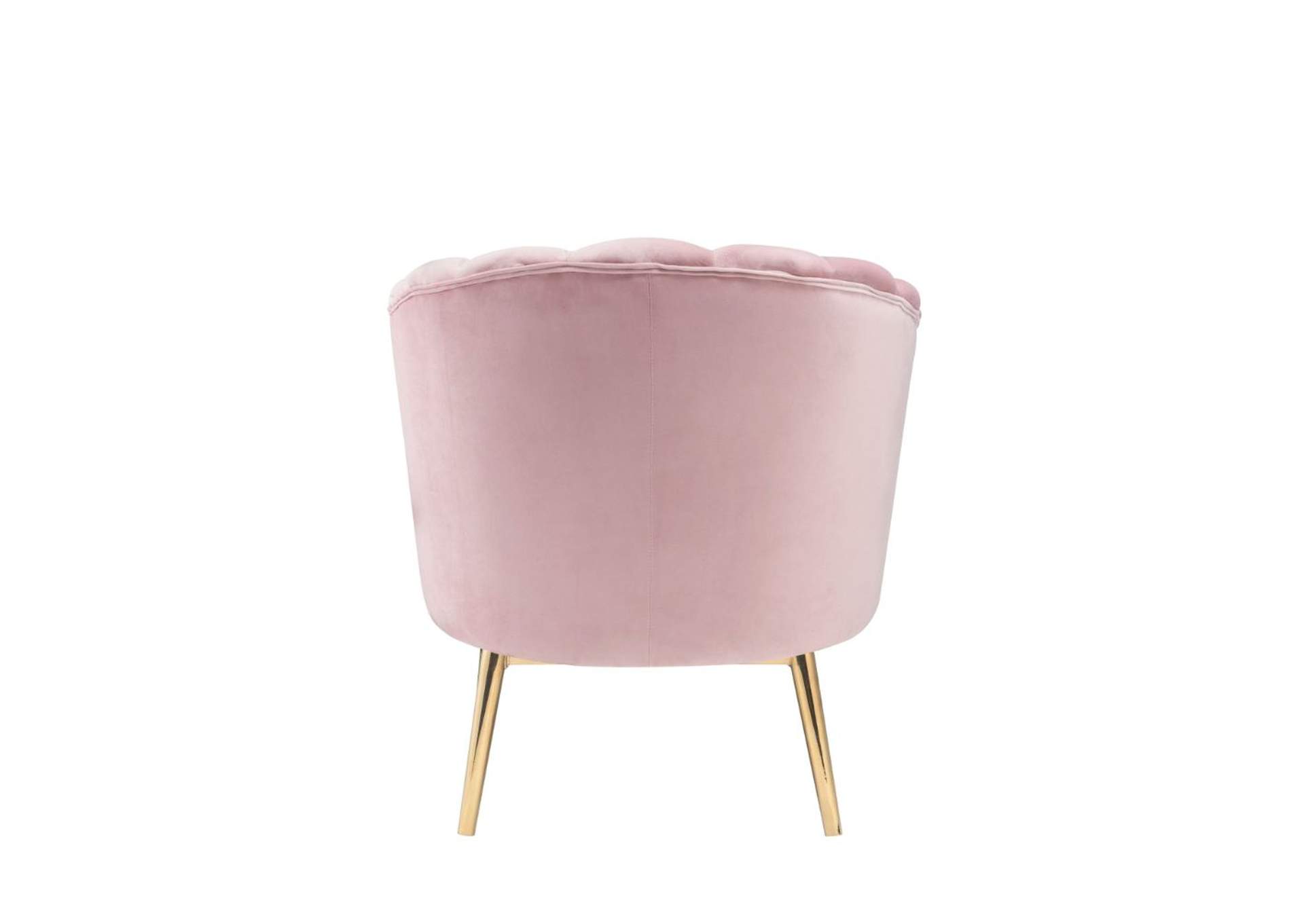 Colla Blush Pink Velvet & Gold Accent Chair,Acme