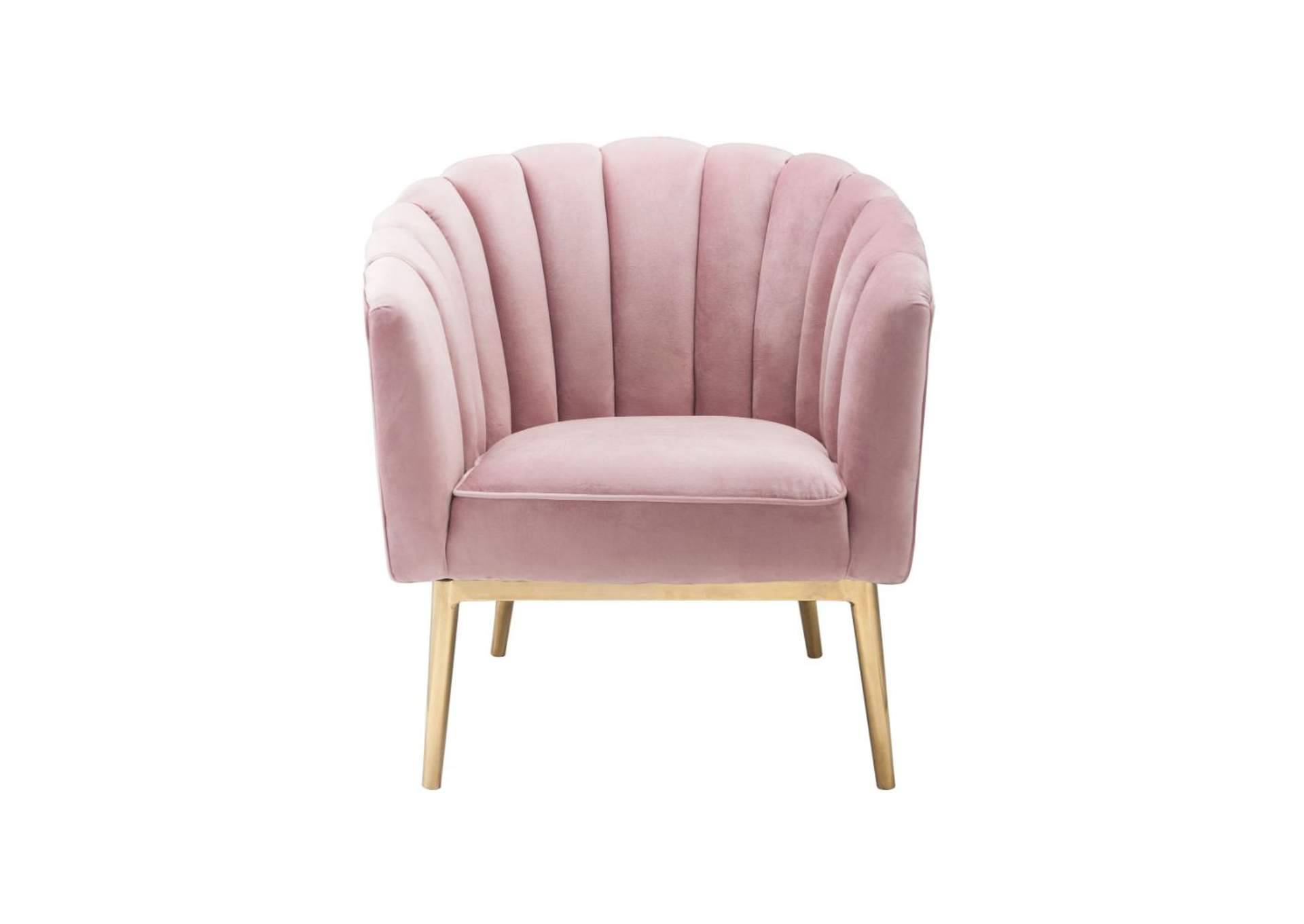 Colla Blush Pink Velvet & Gold Accent Chair,Acme