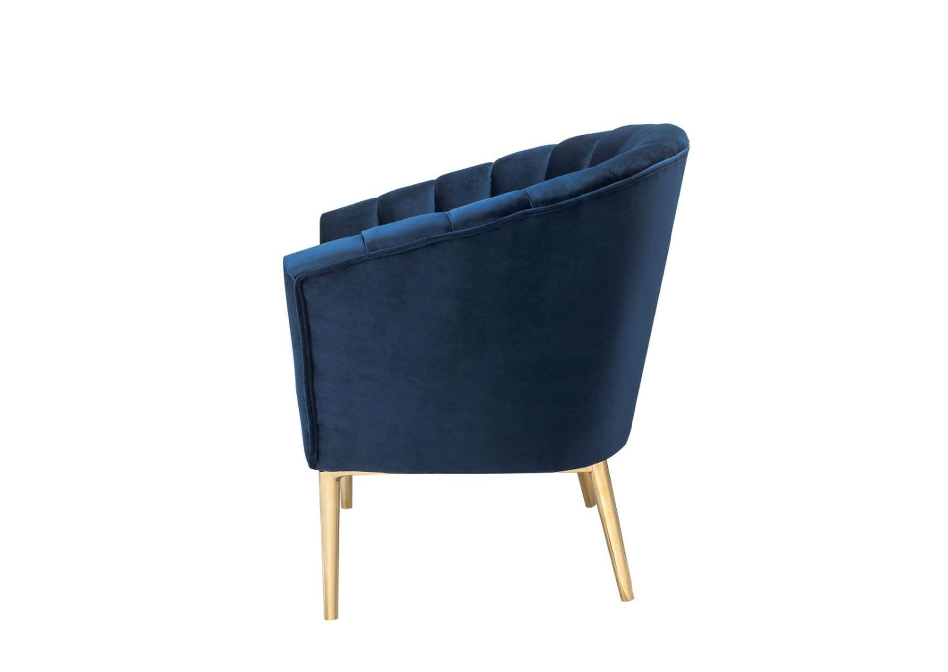 Colla Midnight Blue Velvet & Gold Accent Chair,Acme
