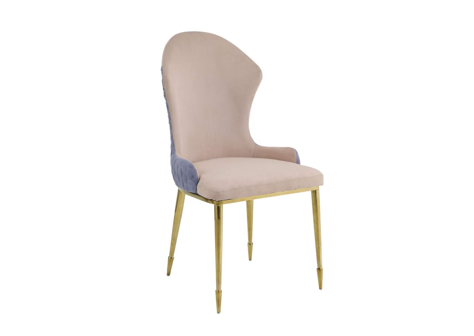 Caolan Side Chair (2Pc),Acme