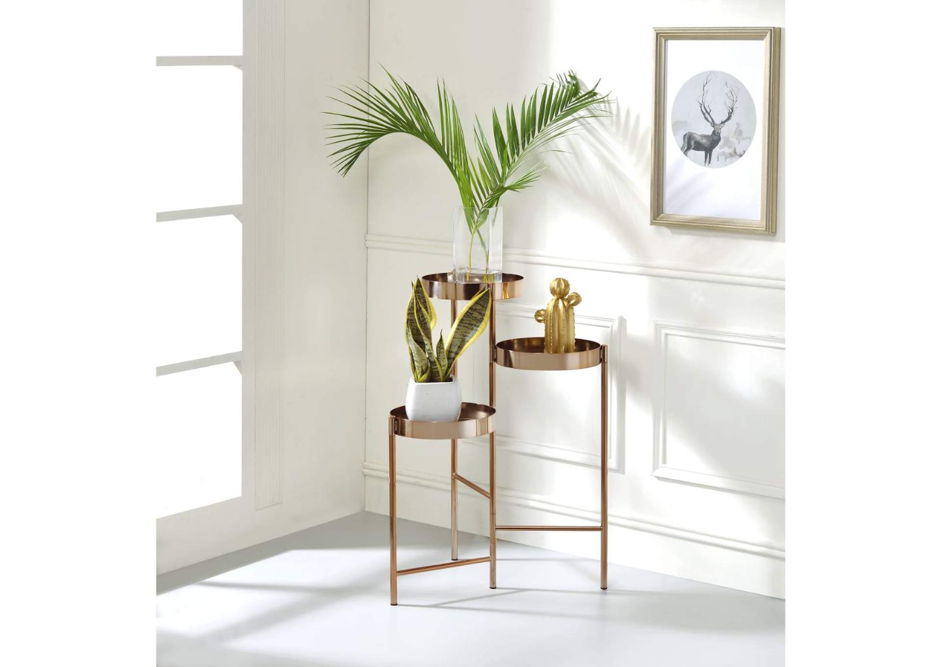 Namid Plant Stand,Acme