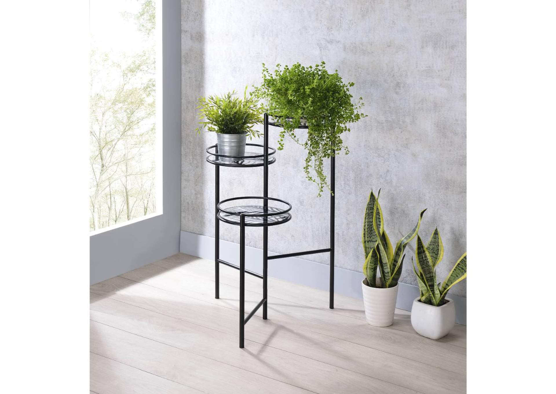 Namid Plant Stand,Acme