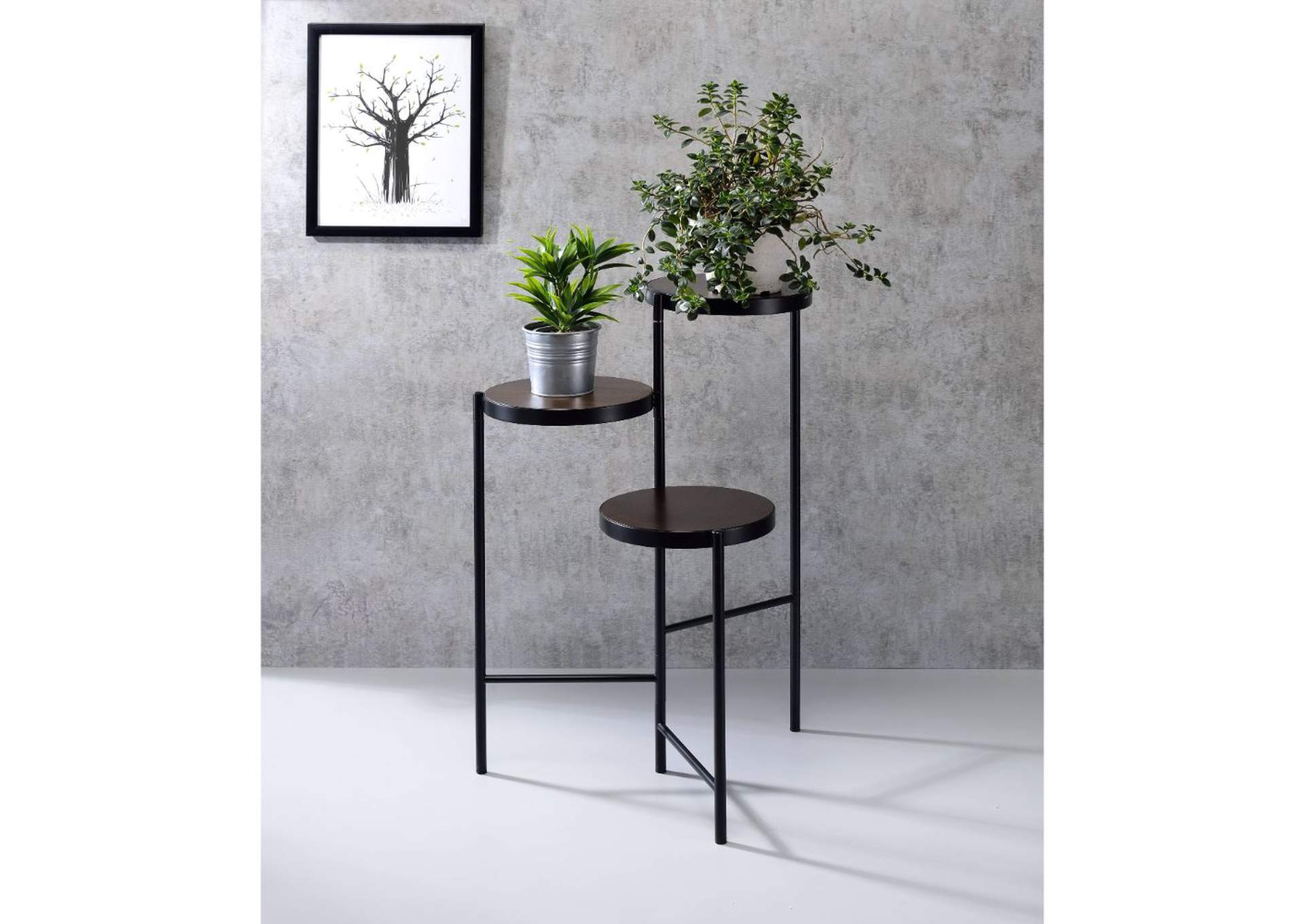 Namid Plant Stand,Acme