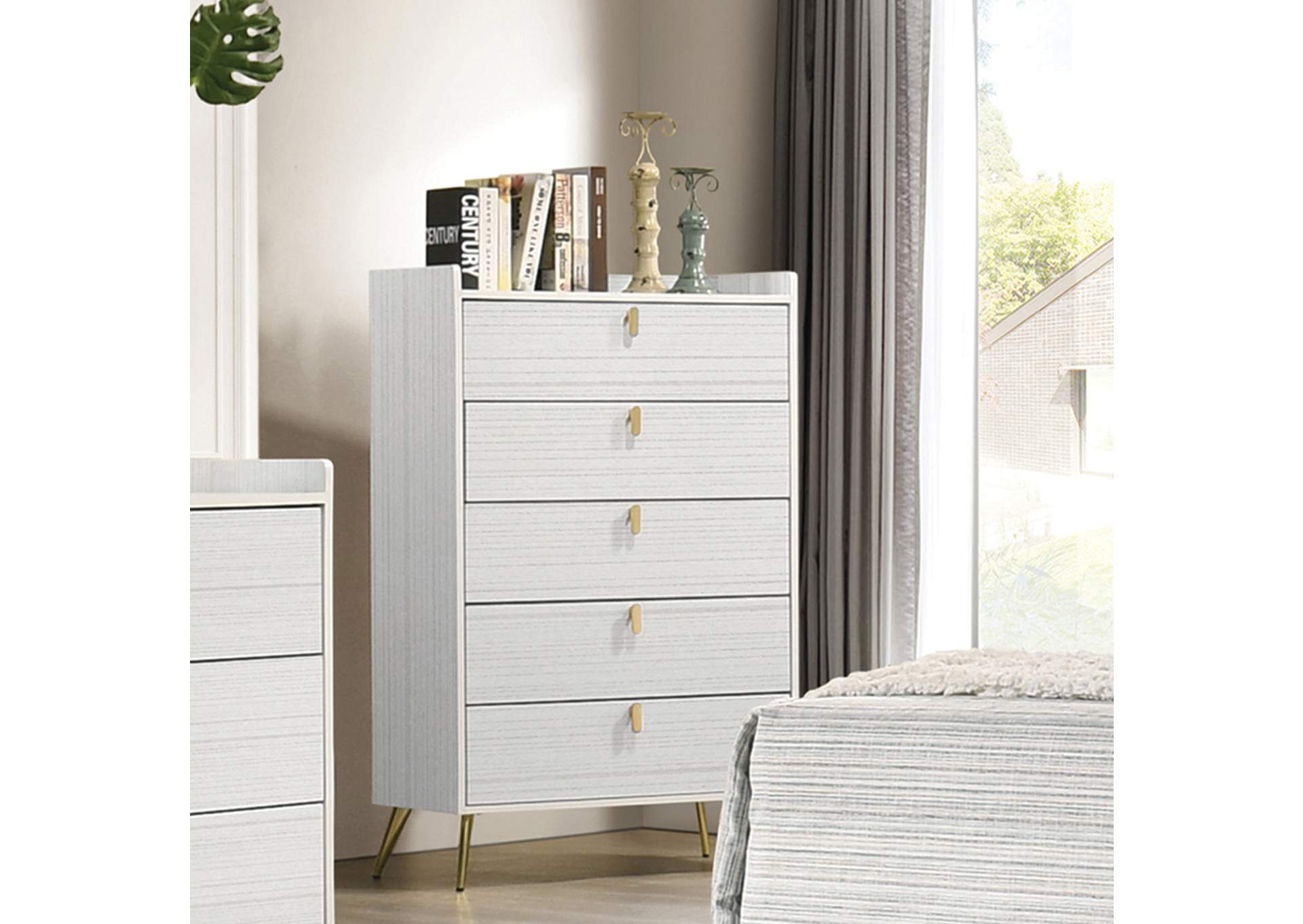 Zeena Chest,Acme