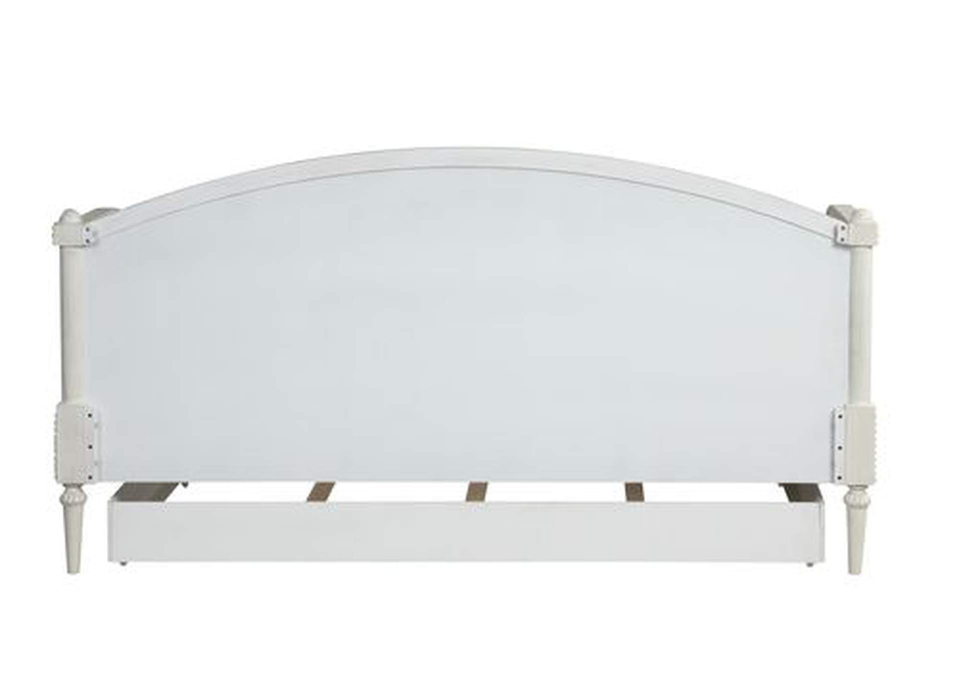 Lucien Daybed,Acme
