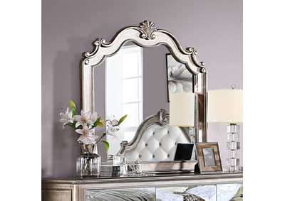 Image for Valentina Antique Champagne Mirror