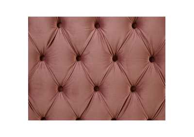 Thumb Image10