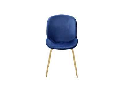 Chuchip Blue Velvet Gold Side Chair (2Pc),Acme