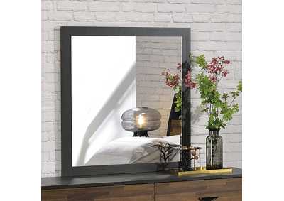 Image for Eos Mirror