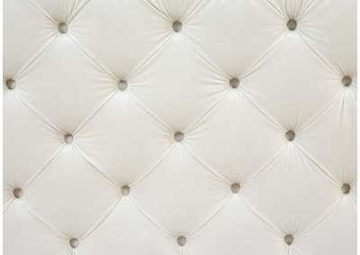 Thumb Image5