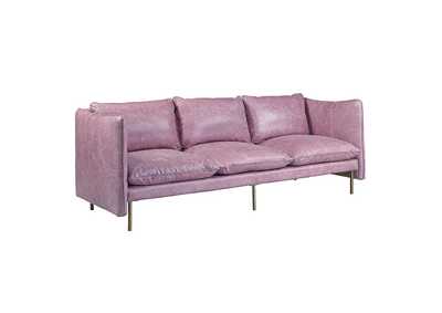 Thumb Image1
