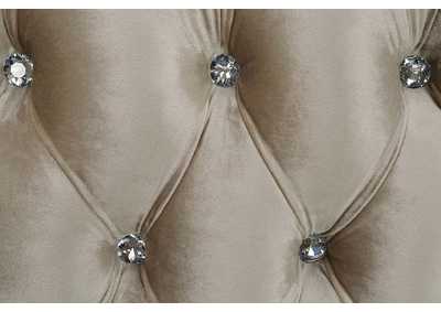 Thumb Image5
