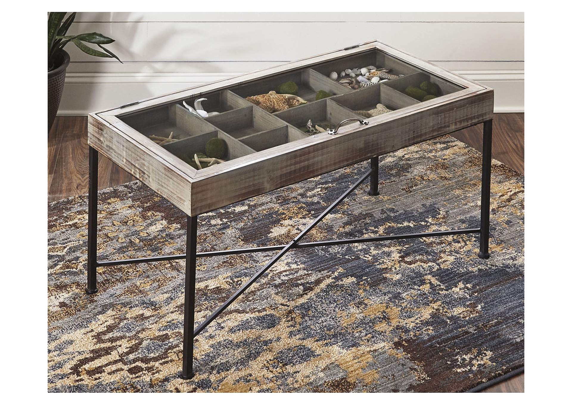 Shellmond Coffee Table with Display Case,Direct To Consumer Express
