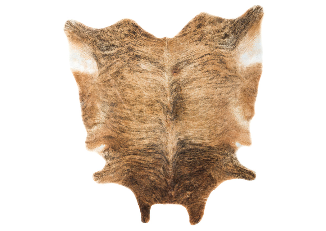 Fagan Light Brown Medium Rug,ABF Signature Design by Ashley