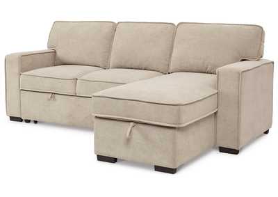 Image for Darton 2-Piece Sleeper Sectional with Storage