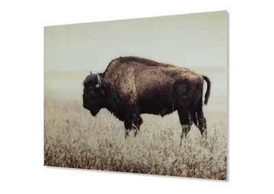 Image for Brutus Wall Art