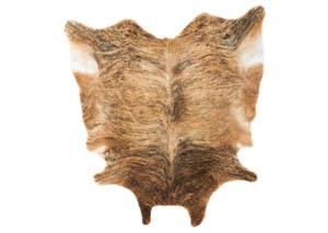 Image for Fagan Light Brown Medium Rug